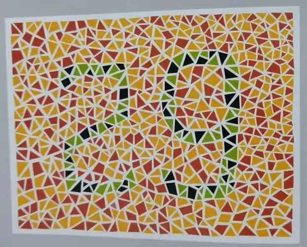 我有色弱可以学车吗赶紧测测过关可学