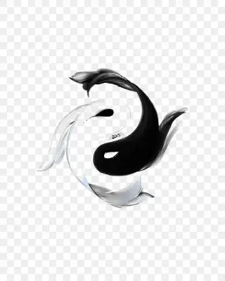 创意鱼形太极八卦