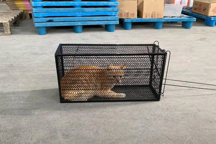 人道救助全自动捕猫笼捉猫笼流浪猫救助笼寻猫驱赶抓猫笼新款115斤