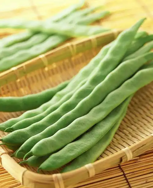 芸豆的营养价值及其做法(芸豆的健康功效)-52线报网