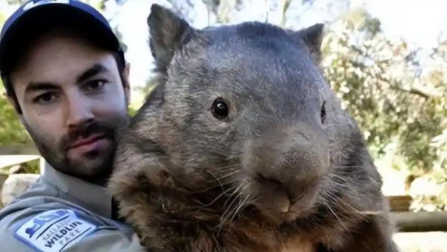 巨鼠1986年4月26日的切尔诺贝利事故是世界上最严重的一起核泄漏事故