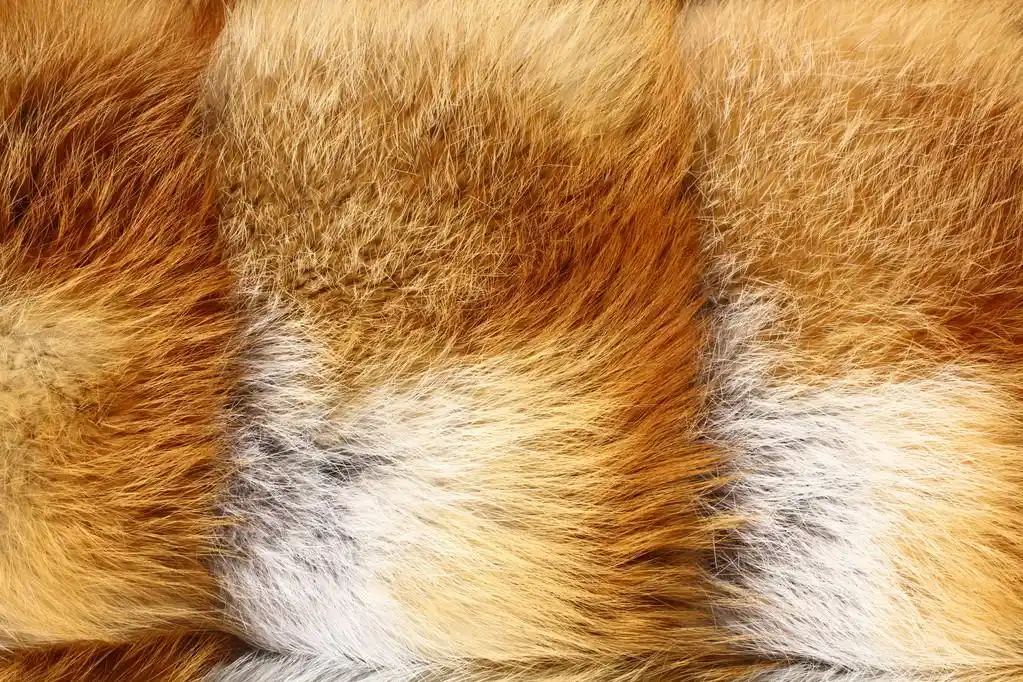 红狐狸毛皮背景纹理