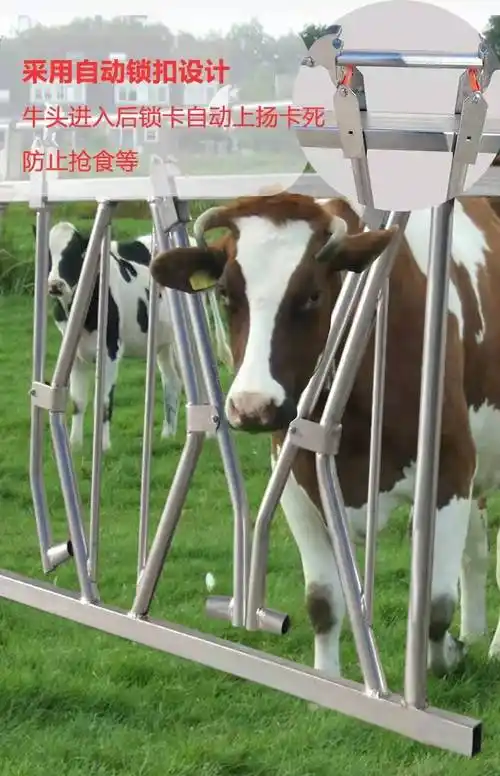 牛颈夹养牛场畜牧自锁式牛颈枷定位栏采食防疫牛颈枷精欧