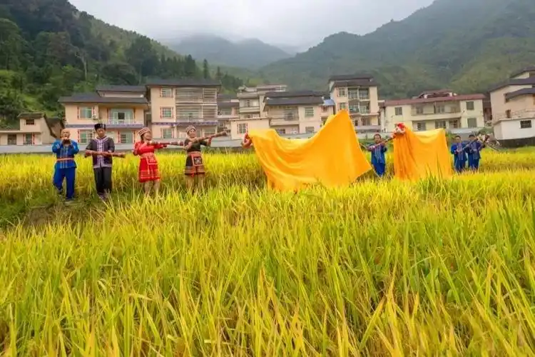 连州焖牛蹄菜心干蒸排骨沙坊切粉丰阳牛肉干连州牛杂    连州山塘豆腐