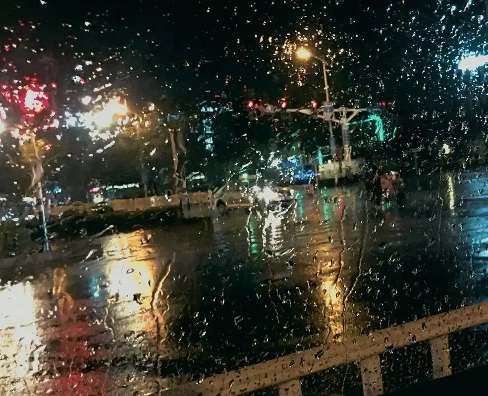 想给老天爷打个电话, 告诉他别下雨了, 我想看看阳光下的 花 - 抖音