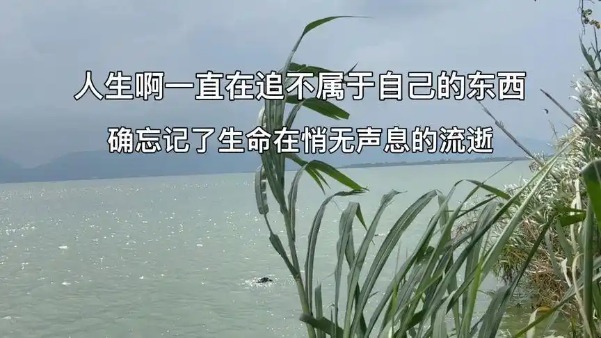 工作之余,来看看滇池的风景,平静一下心情,享受一下生活吧