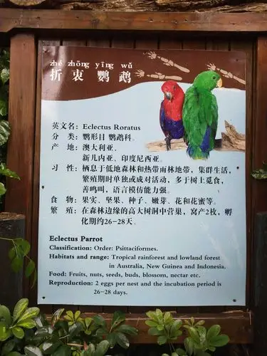 暑假游玩篇之～～香江动物园