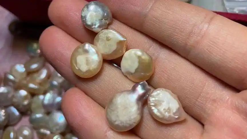 直播开蚌珠中你不知道的白斑病变珍珠可能真在损害你好的珍珠