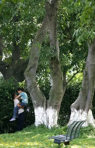 城市表情:热恋中的的男女