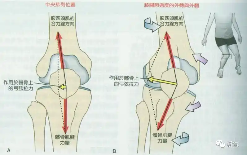 为什么说迪丽热巴是极品身材看她的膝盖对比杨幂江疏影的就知道了