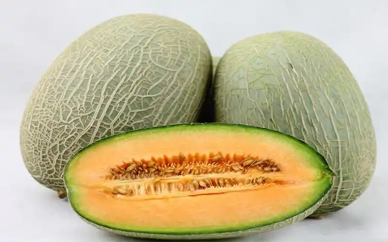 哈密瓜 优质鲜果正品伽师瓜新疆特产8-10斤,75元全国包邮 - 水果批发