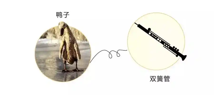 双簧管的音色略带鼻音,有木有特别适合呆萌的大白鸭和它嘎嘎嘎的
