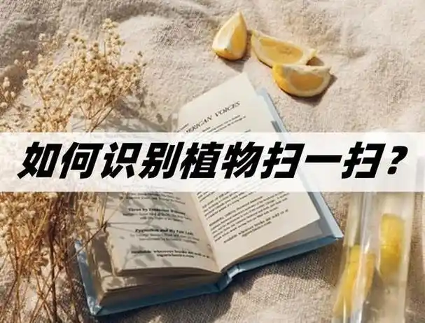 查一查扫一扫(查一查扫码价格官方版下载)插图