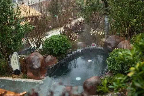 01月12号第二期 自驾大别山虚谷天沐温泉一日游,天沐虚谷泡温泉,健康