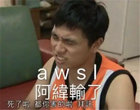 抖音awsl意思,含义,出处介绍