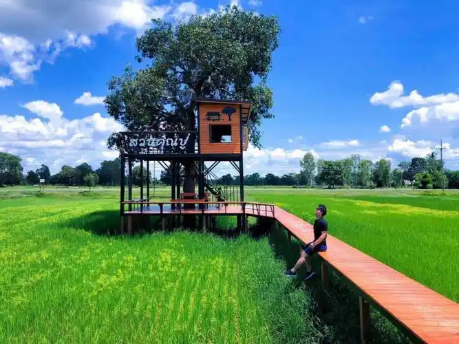 泰国武里南拥抱稻香的怀抱田园乡村风咖啡馆