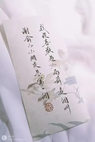 伪装学渣 谢俞 贺朝