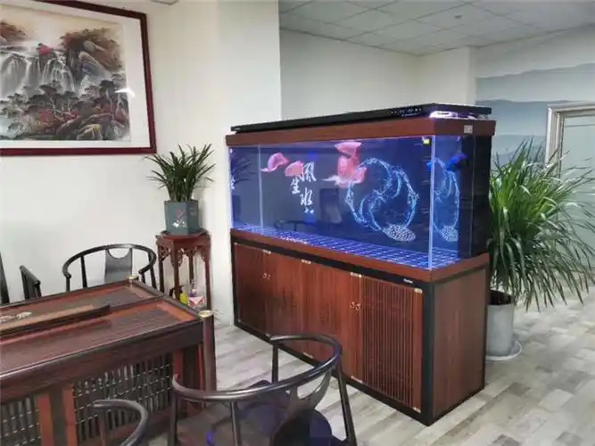 定制办公室鱼缸常用指南 就选择极乐水族