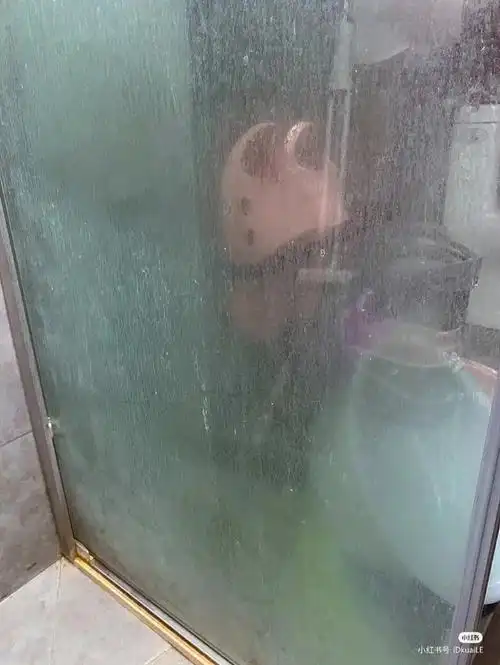 玻璃门上的水垢厚得不行灰蒙蒙的,都看不清了我自己反正是没办法了,就