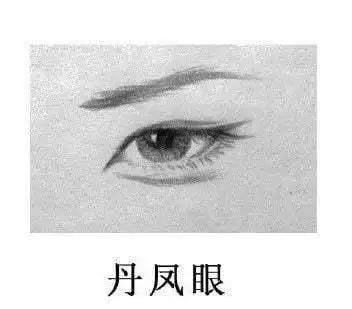 说到丹凤眼,相信大家都会想起《红楼梦》里的那一段描写:"一双丹凤