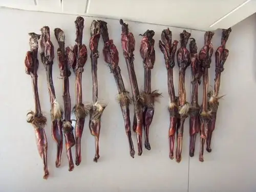 鹿鞭的功效作用及食用方法