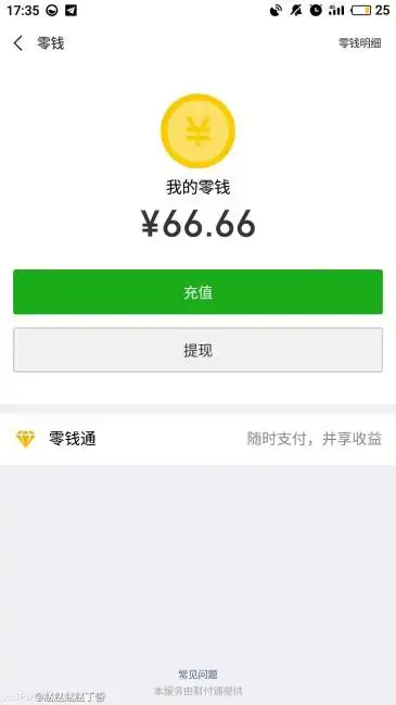 大家看我的微信余额什么水平 tx