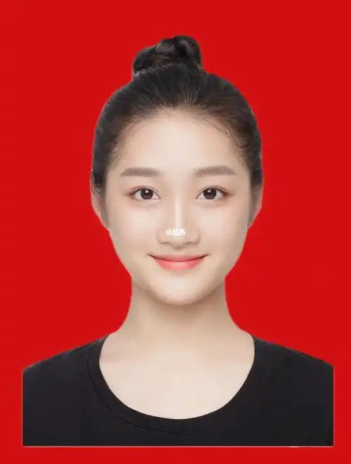 证件照换底有手就会