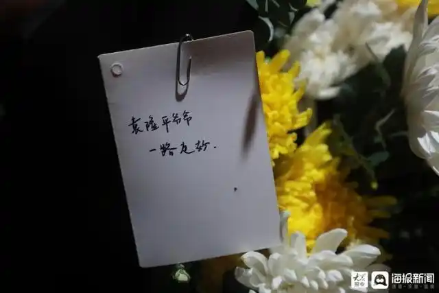 袁隆平爷爷,一路走好