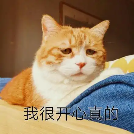 我很开心表面微笑熊猫人熊猫人戴面具哭泣伤心gif动图_动态图_表情包