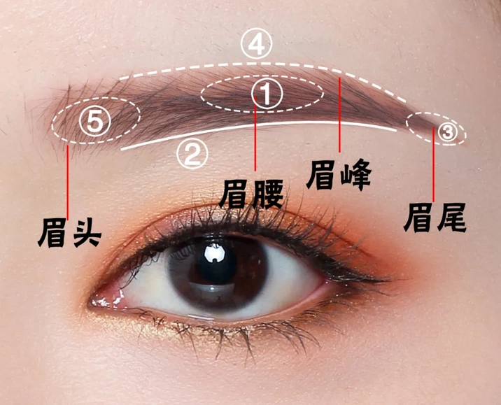 0基础修眉画眉教程|手残党一看就会!