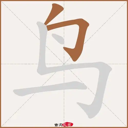 鸟的拼音怎么读