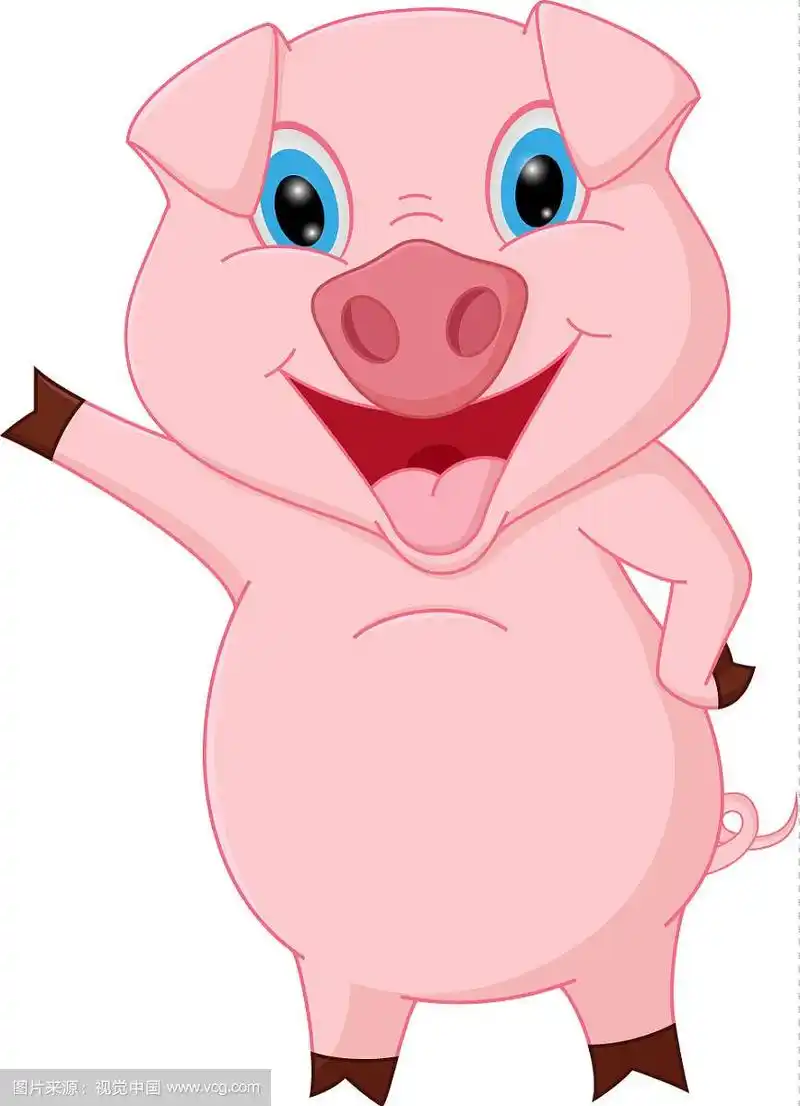 快乐的猪卡通