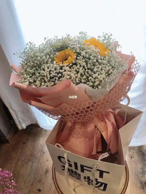 向日葵77白色满天星