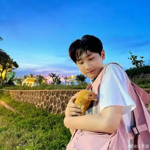 汪苏泷是懂翻牌的##汪苏泷翻牌粉丝沙滩写字