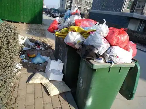 东城社区15号楼垃圾箱满,箱外垃圾
