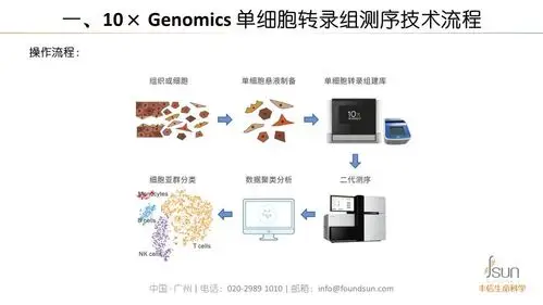 单细胞测序10genomics单细胞转录组测序技术详解