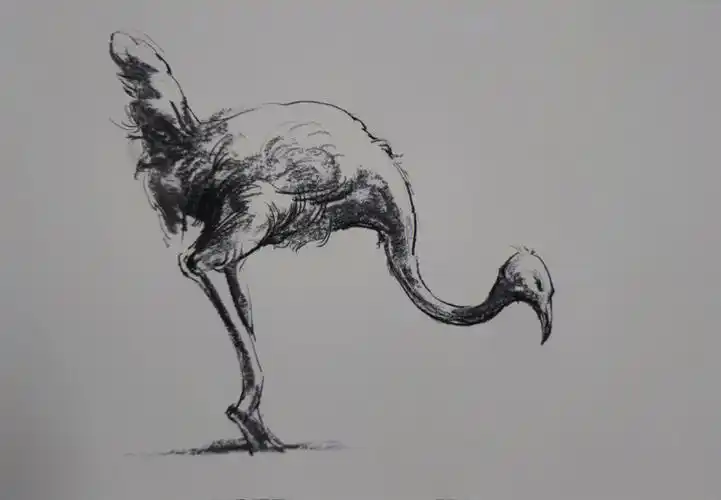 十分钟以内动物速写你们喜欢那一张呢