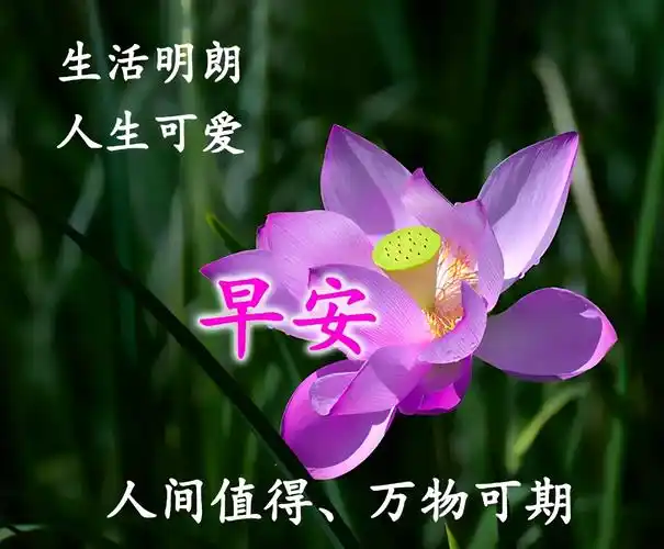 原创今天最新的早上好图片祝你今天好心情工作顺利生活甜美