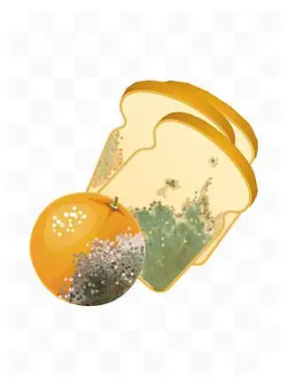 i>腐 /i>烂橙子水果霉变食物 i>不 /i>要吃