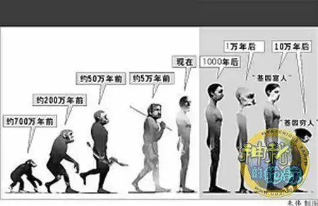 未来人类的进化能力是否将会越来越快?