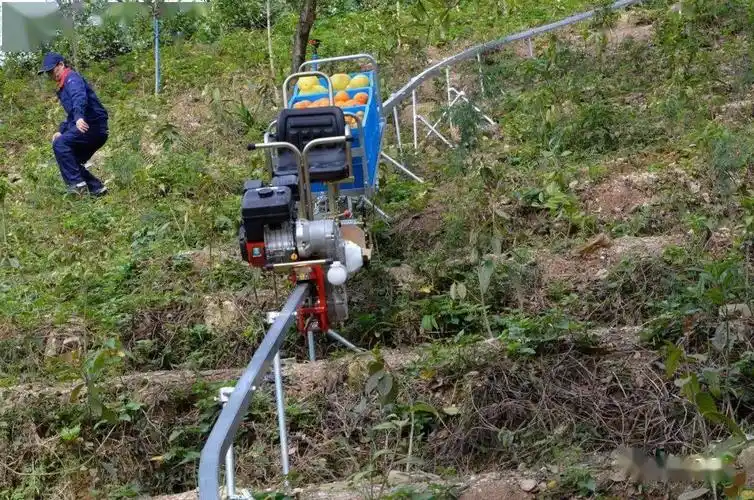 【新品】安装简单,便捷实用的山地果园单轨运输机作业视频_运输车