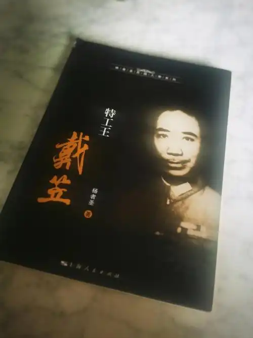 杨者圣的民国人物传记《特工王戴笠》