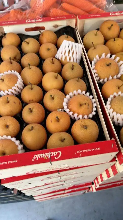 新到丰水梨一箱五公斤左右5块钱一整箱