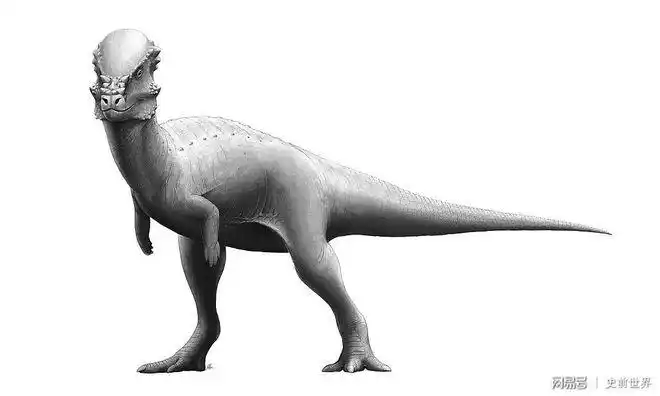 肿头龙白垩纪的铁头功