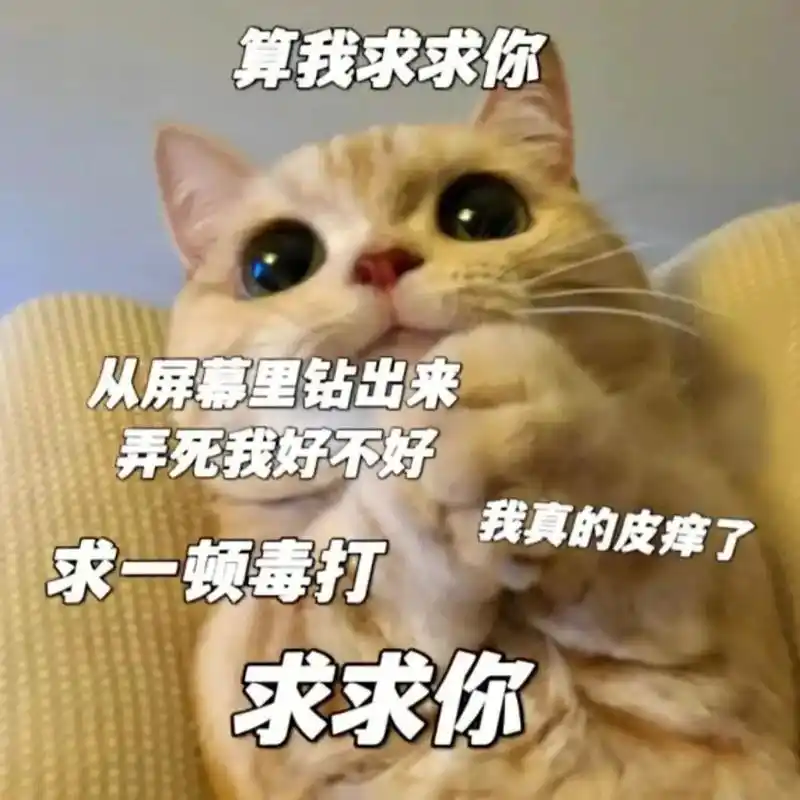 快拿去发给女朋友看吧 #艾特你想艾特的人 #情侣套路表情包  - 抖音