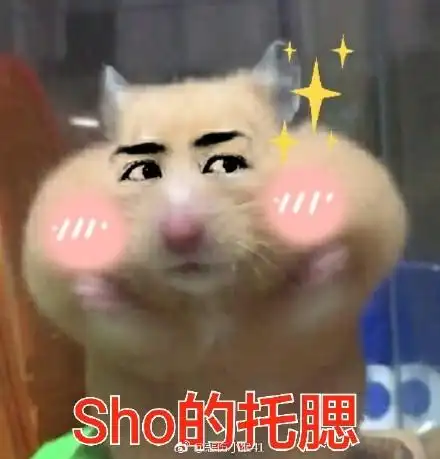 仓鼠表情包动图