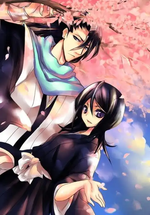 bleach,ブリーチ,朽木 白哉 露琪亚……还是绯真?