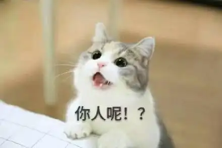 你人呢老公老公理我啊理我啊老公理我好不好表情包老公,老公,我要老公