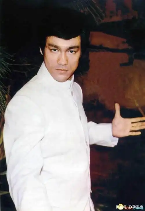 李小龙传奇的一生