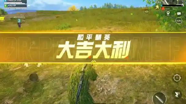 和平精英:咱们吃鸡啦!王妃姐姐最后绝杀,主播依然豪横